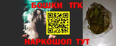 МДПВ Славгород