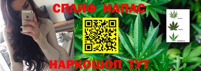 молекула духа Славянск-на-Кубани