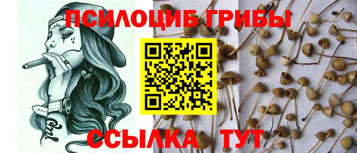 Галлюциногенные грибы мухоморы  Вход с VPN  Аргун 