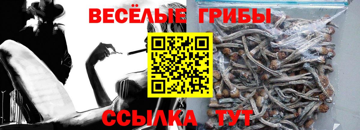 Галлюциногенные грибы мицелий Аргун