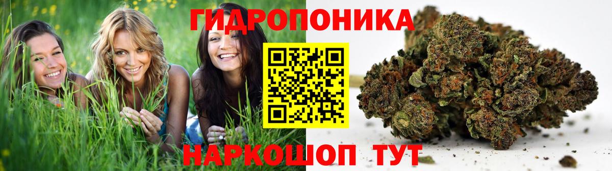 Бошки Шишки сатива  Шишки марихуана индика  Аргун  Бошки марихуана OG Kush  Вход с VPN 